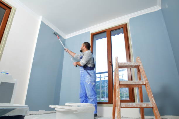 Best Water Damage & Mold Remediation  in Loveland, CO