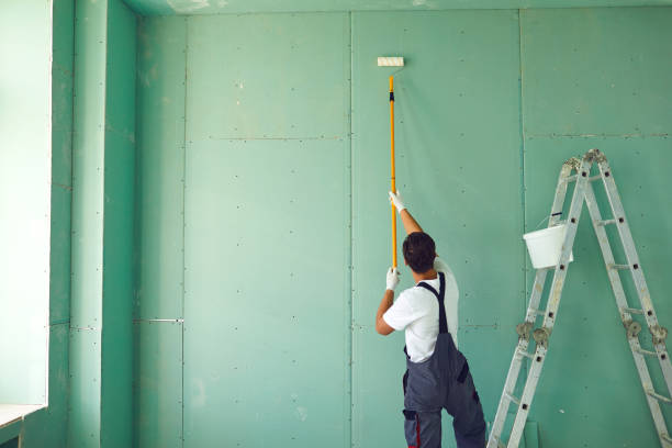Reliable Loveland, CO Mold Removal Solutions