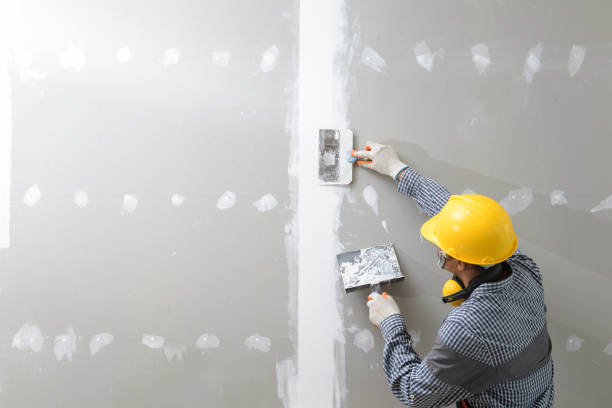 Best Real Estate Mold Inspection  in Loveland, CO