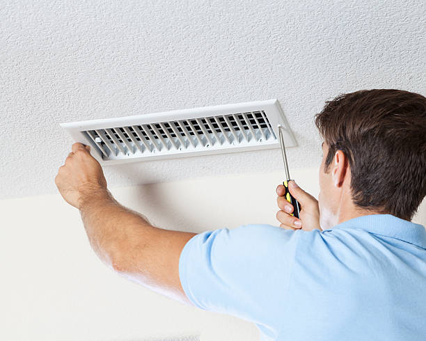 Best Asbestos and Lead Testing During Mold Inspection  in Loveland, CO